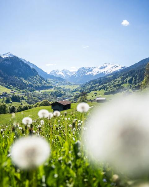 Klosters 夏景